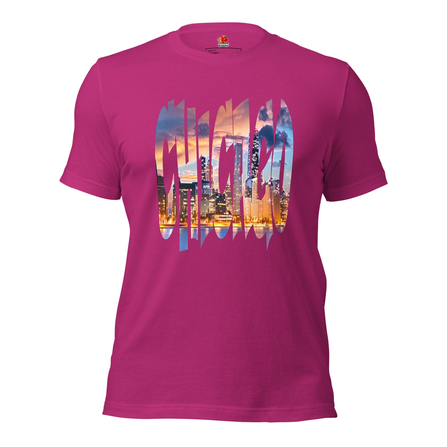 Chicago Skyline Typography Front Print T-shirt