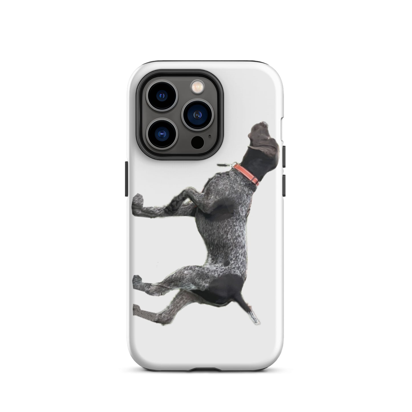 German Shorthaired Pointer - Dog - Tough iPhone case
