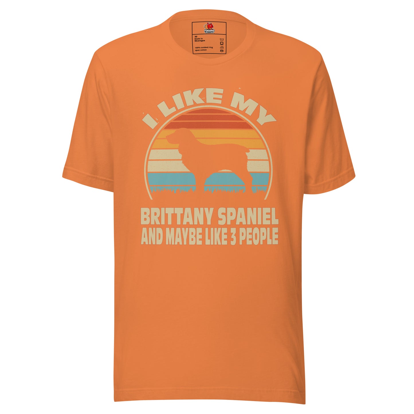 I Like My Brittany and Maybe Like 3 People T-shirt